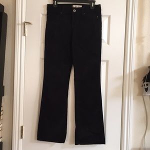 Women’s Live Life Sanctuary Black Velvet Pants